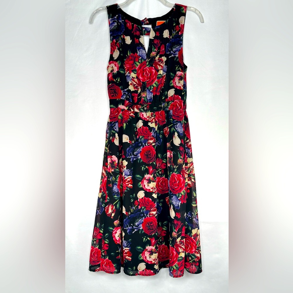 Modcloth Flaunts And Needs Rose Floral  Dress Chiffon A-Line Knee‎ Length Sz S